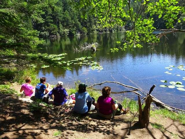 7 miles down the mountain through towering forests, past twin lakes and purple foxglove, and to a lovely mountain lake that begs for a post-hike swim.