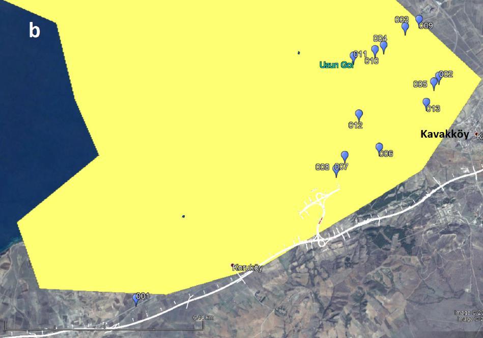 Bay IBA (yellow area in b) for wintering geese and