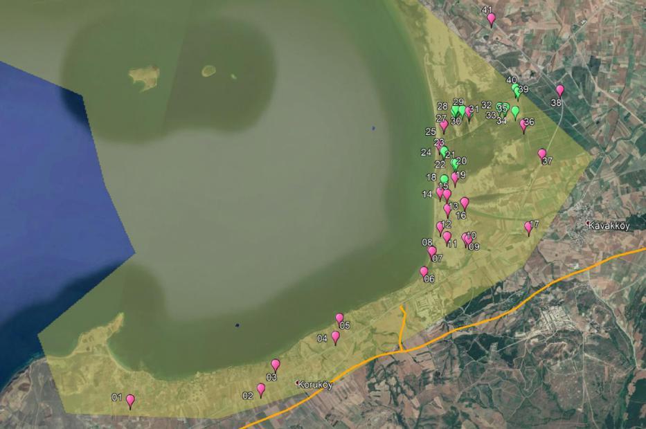 Pink dots indicate non breeding areas, green dots indicate breeding areas. Figure 2.