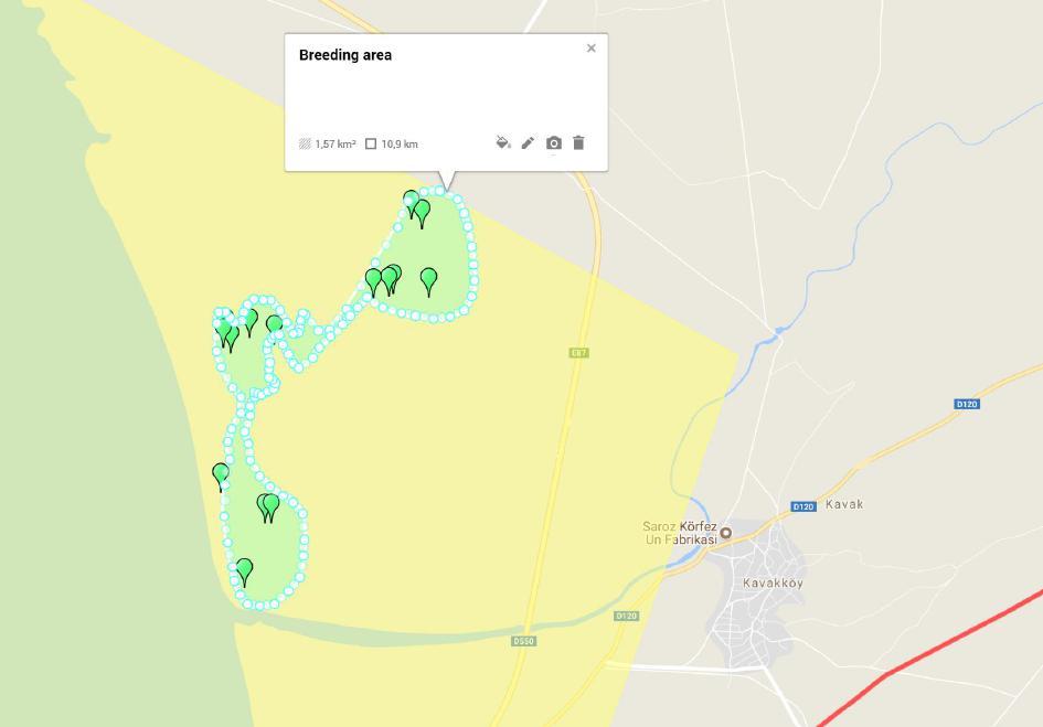 Figure 24. Breeding points (green dots) and breeding area (green dashed area) determined in Saros Bay IBA (yellow dashed area).