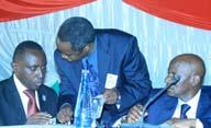 partners, the AU and NEPAD, intensified their efforts in,helping the countries, had signed the