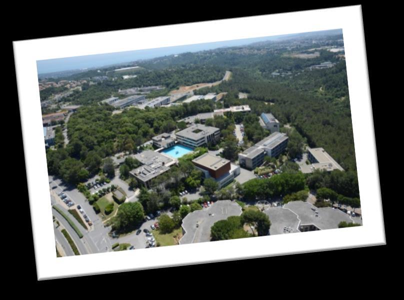 Venue and useful information The meeting will take place at Inria Sophia Antipolis, France.