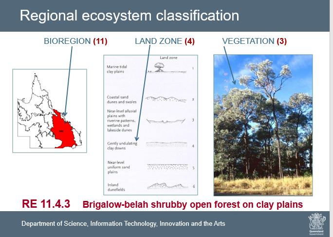 REGIONAL ECOSYSTEMS vegetation communities in a bioregion that are consistently associated with a particular combination of geology, landform & soil.