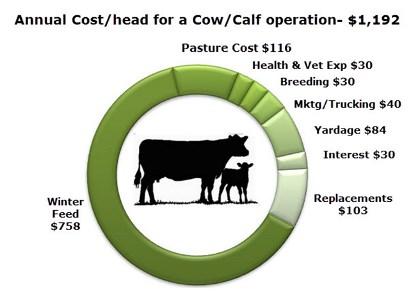 Farmers spend $ to make $ Over $1,000 / year / beef cow Annual Cost/head for a Cow/Calf operation- $1,192 Pasture Cost $116
