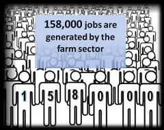 Ontario's farm sector employment The farm