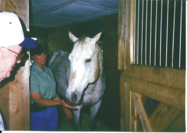 Local residents have fond memories of visiting the barn and seeing the rangers riding on the trails. The unit was an effective enforcement and public relations tool. Right: Ranger, in the Upton barn.