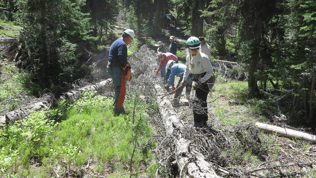June Kennally Creek Trail Head (PNF) Eleven members of Squaw Butte worked on two trail.