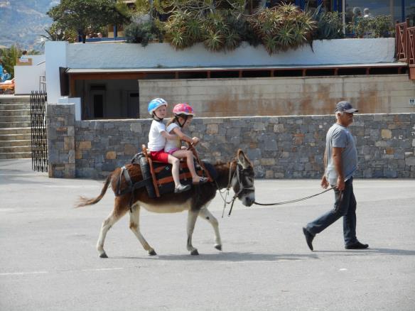 In our small petting zoo with our five donkeys they can enjoy a ride on the