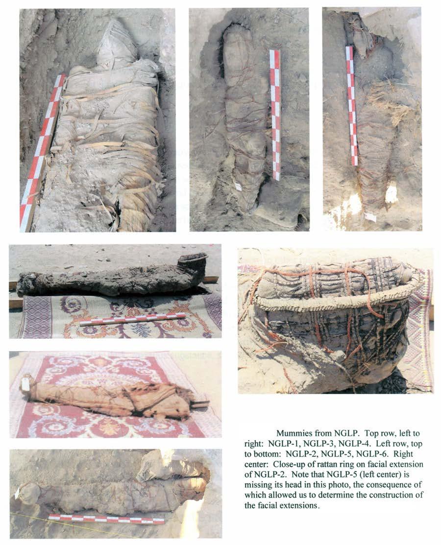 Ten mummies were discovered within NGLP; six were removed during the 2004 season.