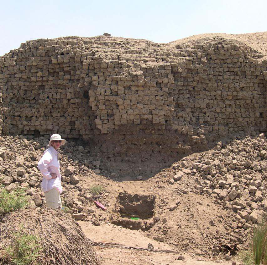 In the Sheshonq temple temenos precinct, a small (ca.1 m x 1.5 m) geological probe trench was excavated against the interior of the mudbrick temenos wall in order to study the mudbricks.