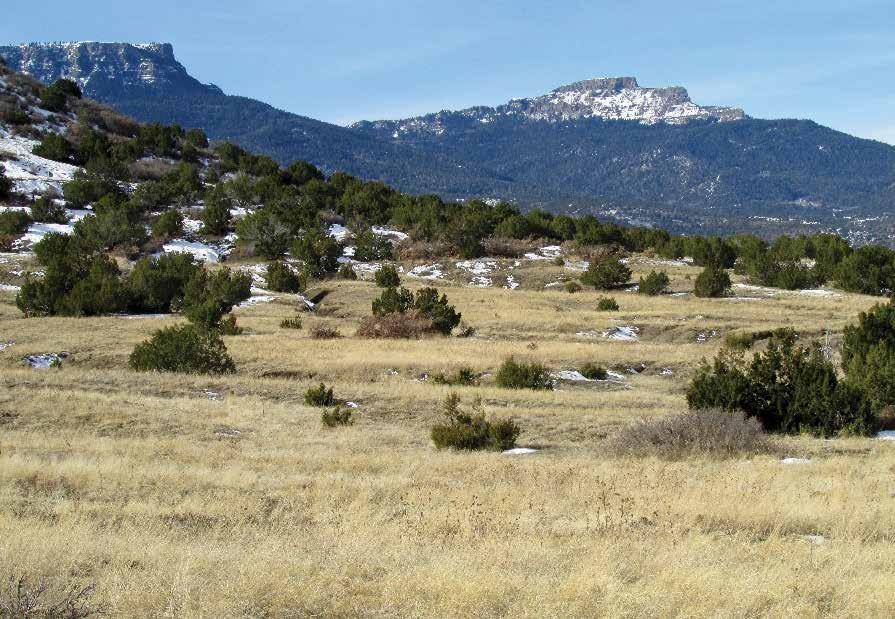 s San Miguel Creek Ranch is a scenic well-balanced cattle and trophy hunting ranch that showcases the very best of Southern Colorado. Conveniently located only 6.