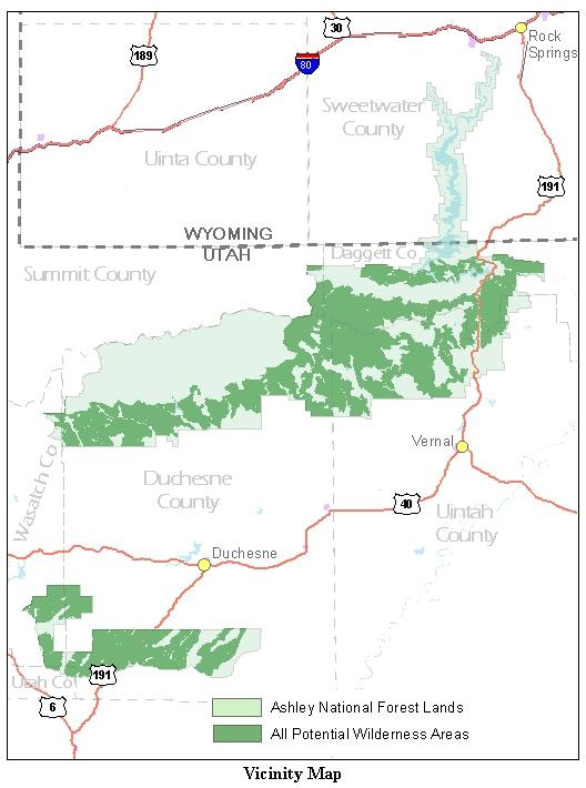 Affected Environment The Ashley National Forest has 37 inventoried potential wilderness areas across the forest totaling 676,869 acres.