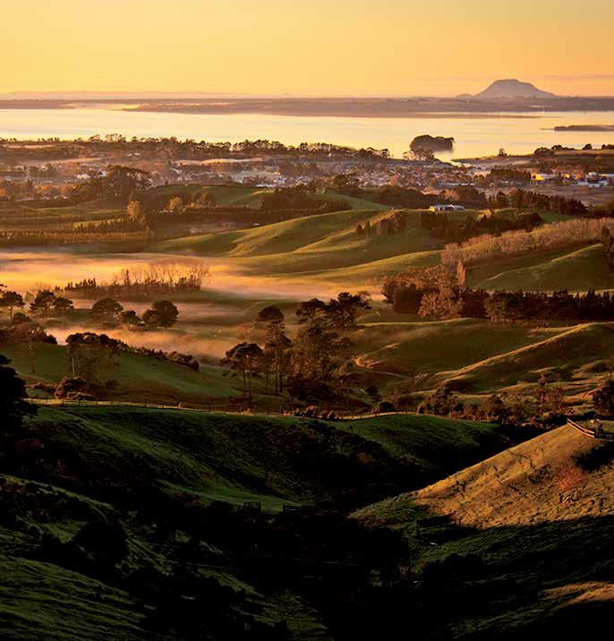 WESTERN 6 6% GDP 3.5M NIGHTS 3.5m The Western Bay of Plenty subregion incorporates the Western Bay of Plenty District and Tauranga City.