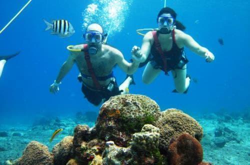 SNUBA Are you ready to try Snuba - a combination of snorkeling and scuba diving? $69.