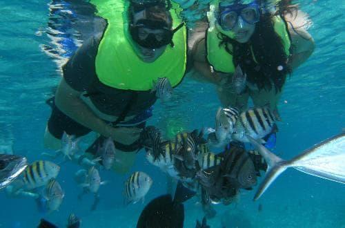 99 / Child (ages 8-12) Duration: 4 Hours Minimum Age: 8 Years Departure Time: 1230 THREE REEF SNORKEL BY BOAT The sparkling waters of the Caribbean beckon with