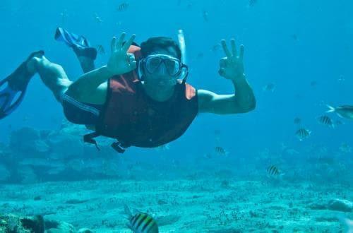 99 / Child (ages 1-12) Duration: 4 Hours Minimum Age: 1 Years Departure Time: 1000 AWESOME SHORE SNORKEL & BEACH This is one of the island s premier snorkeling