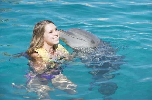 DOLPHIN SWIM WITH UNLIMITED FOOD & DRINKS Embark on a premium dolphin adventure during a 40-minute dolphin program, including fin shake, kiss and an exciting swim! $124.