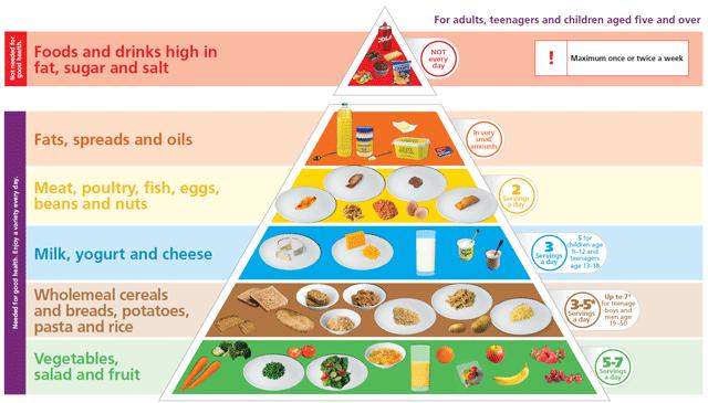 For info on a balanced diet, check out: safefood.eu Things to think about when planning a menu: Is it a balanced menu? Do you have enough fruit and vegetables? How much will it cost?