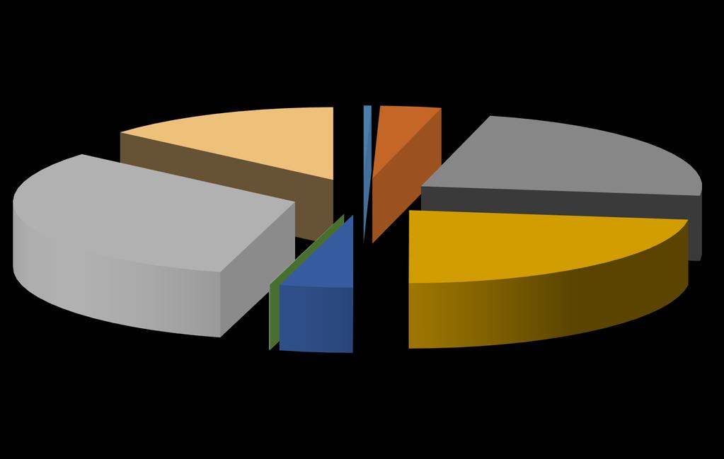 Y-T-D Market Share by Group / Airline / Total Passengers (January