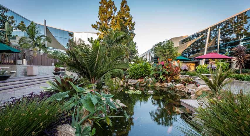 The courtyard has been transformed into an Asian Fusion inspired botanical garden. Exterior /barbeque facilities.