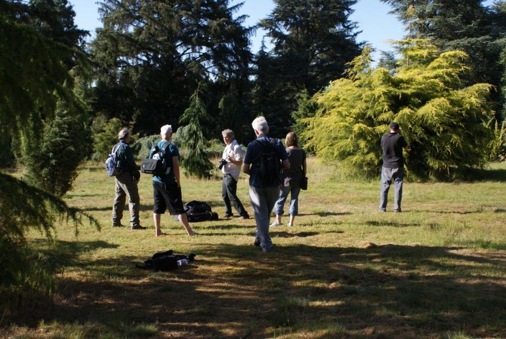 Edward Parker s Photography Course On the 25 th July, renowned photographer Edward Parker took two keen groups around the Pinetum in order to improve their photography skills.