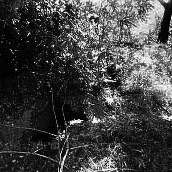 3.22_8 - Operational Test Phase: Viet Cong Tunnels.