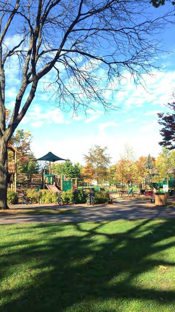 Playground at Pioneer Park