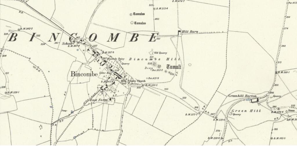 Extract from 1888 Map illustrates how many buildings have been demolished or burned