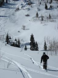 dog walking areas / resorts Transit service Winter Recreation Backcountry winter recreation areas Ski and