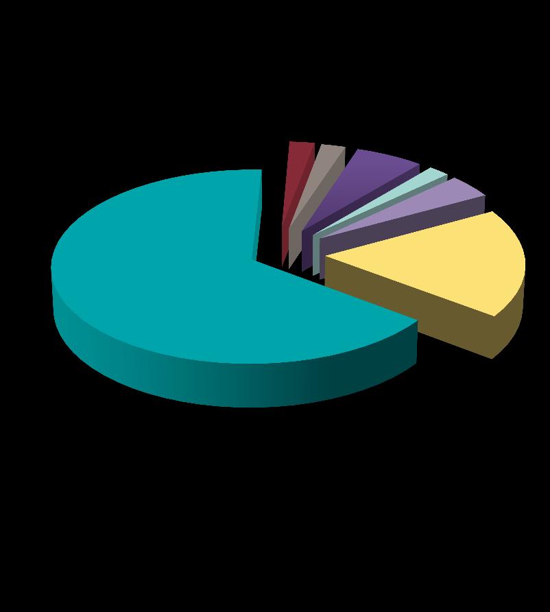 HAECO XIAMEN Introduction Manpower Distribution 66% 2% 2%