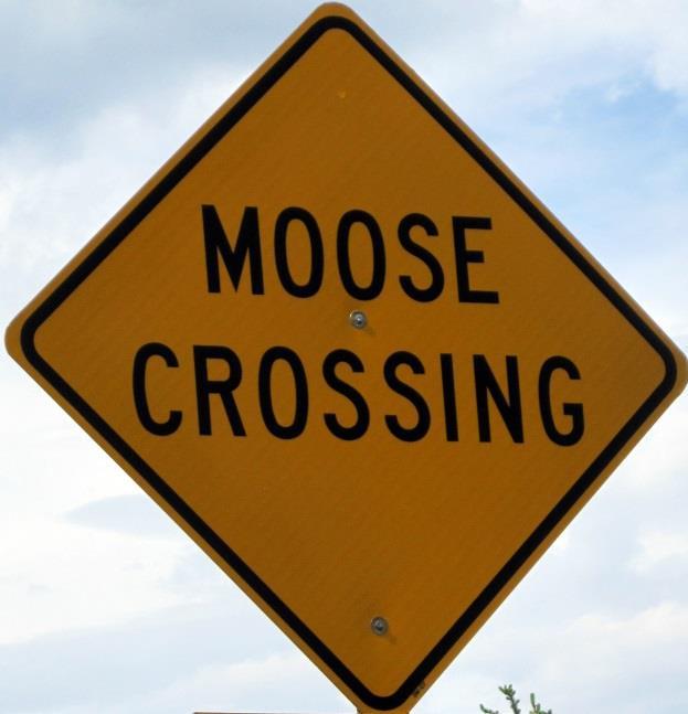 Moose Path Trail Corridor Management Plan North