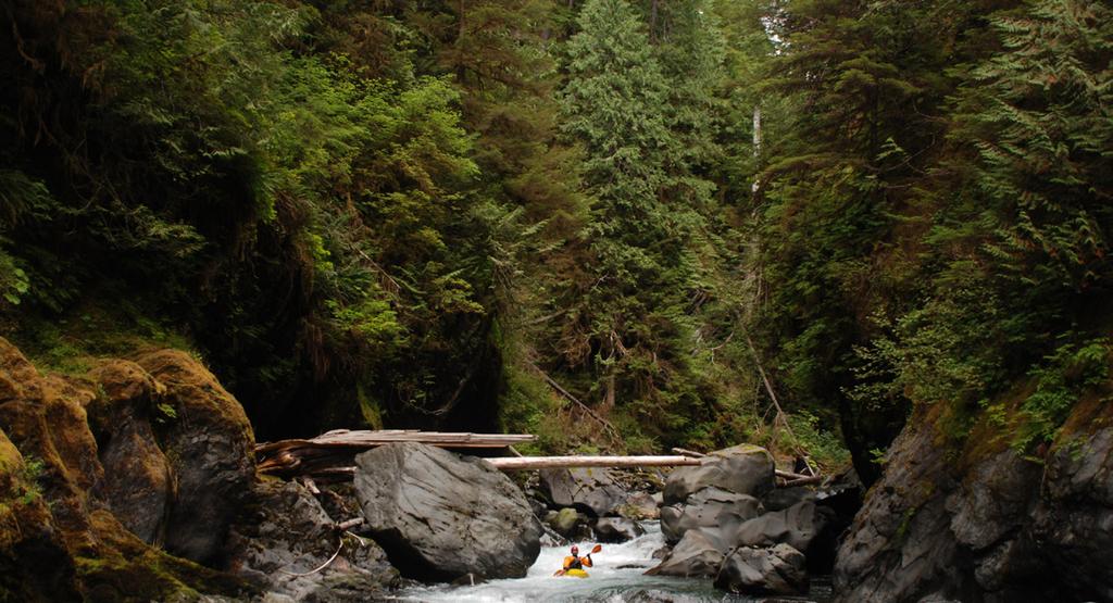 Washington s upper Nooksack River system to benefit fish and wildlife species, and world-class recreation.
