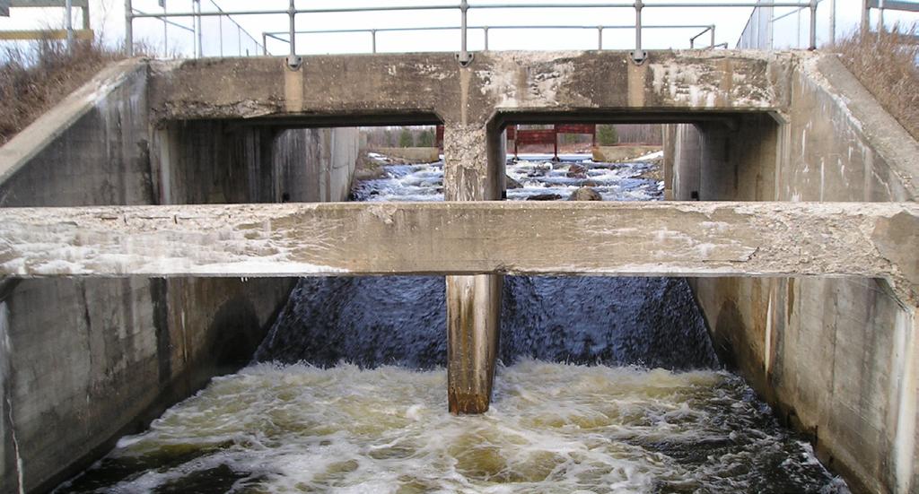 We funded CRA s Free Flowing Maple River Campaign to remove the Lake Kathleen Dam on Michigan s Maple River, and restore the Maple s overall riverine system.