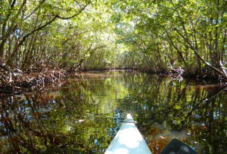 11 th ANNUAL BLACKWATER ADVENTURE TRIP Friday, February 15 Meet up at day marker R 2 near Tripod Key in Goodland at 11:30am SHARP To be guided by our club expert John Nevelus This trip is for small