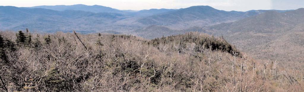 Mount Adams fire tower may be saved Lee Manchester Lake Placid News, May 14, 2004 ADIRONDAC Until recently, most Adirondack observers thought the fire tower on Mount Adams was a goner.