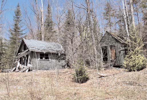 But then, suddenly, there it is, rising from the woods: this huge metal thing, with this ruin of a cabin stuck on top.