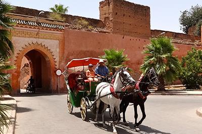Dinner with Horse-drawn Carriage Ride This evening, enjoy a horse-drawn carriage ride through the lively streets of Marrakesh.