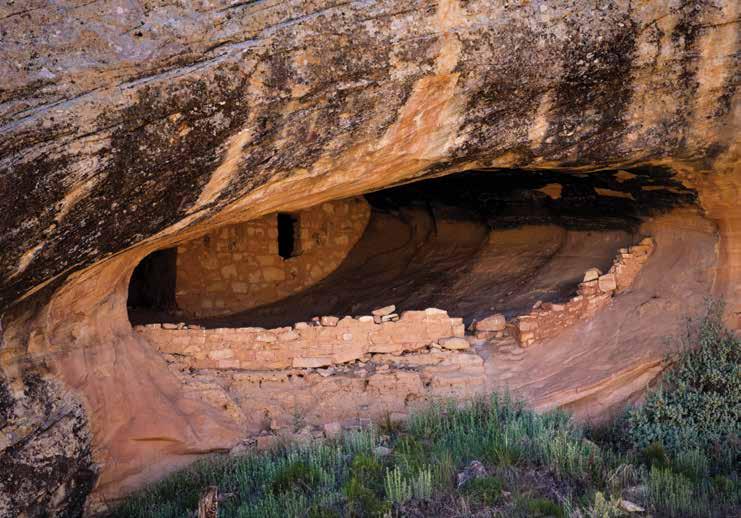 Utah Explorer s Guide The Ghosts of Greater Cedar Mesa 13 Above: Butler Wash Ruin AN ARCHAEOLOGIST S VIEW OF GREATER CEDAR MESA Don Simonis is one of two archaeologists at the Monticello Bureau of