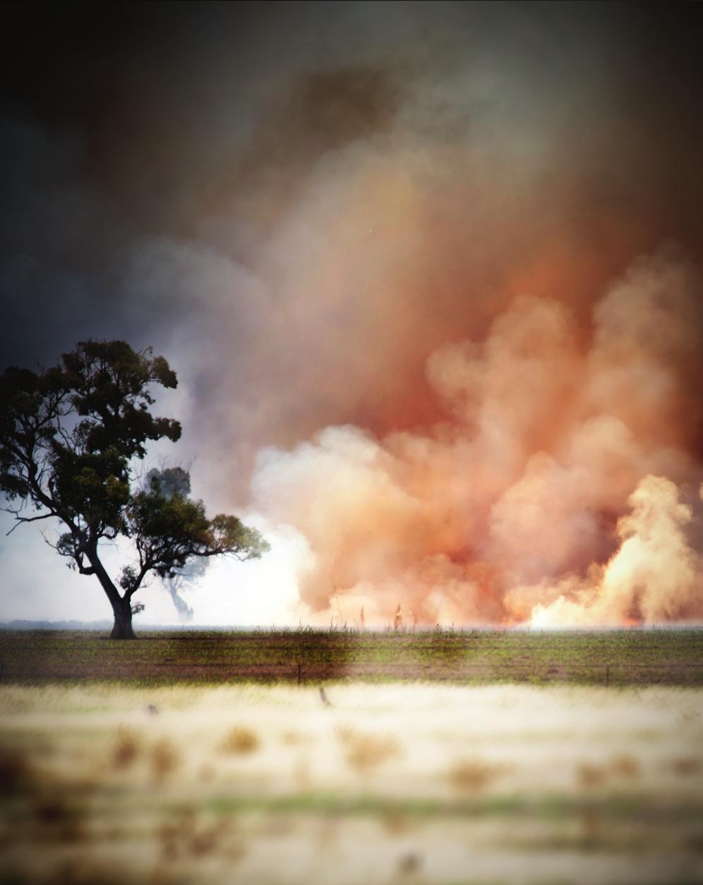 BUSHFIRE Survival Plan 2015-19 Proudly supported by the