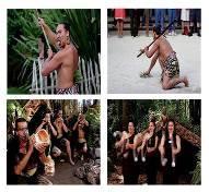 Agrodome Te-Puia Thermal Maori Culture Show Day 04 Rotorua Auckland (Rotorua to Waitomo caves, 160Kms, 2.