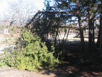 Going past the containers, some of the cedar trees lost their limbs as you drive to the steaming bays on the back side