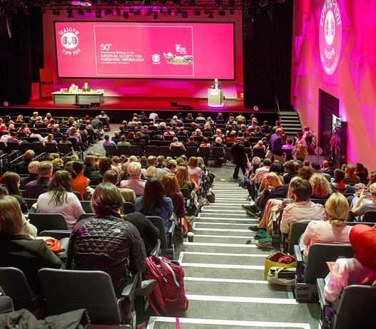 Conferences CONFERENCES AT A GLANCE 500,000 SEC Meeting Academy launched Significant economic benefit for Glasgow, Scotland and UK Corporate market increased by 62% Total events increased by 36%