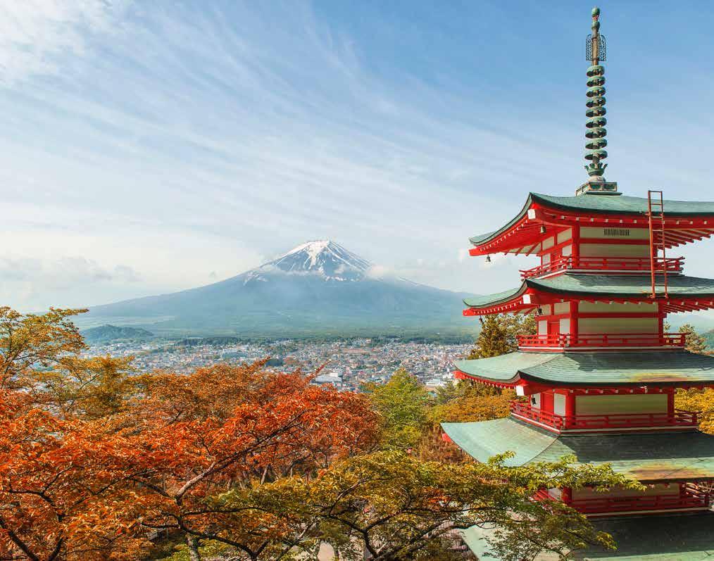 JAPAN 日本 2019 Rugby Travel Scotland is proud to be an Authorised Sub-Agent for Rugby World Cup 2019, Japan. Touring with Rugby Travel Scotland is not just about a ticket and a hotel.