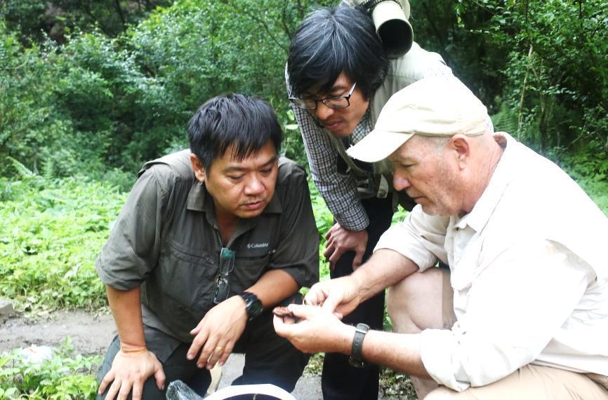 In the middle of a subtropical mountain rainforest, the survey venue was situated at roughly