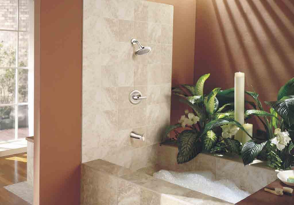 SHOWER SYSTEMS 20901 Tub & Shower Faucet Polished Chrome Brushed Nickel