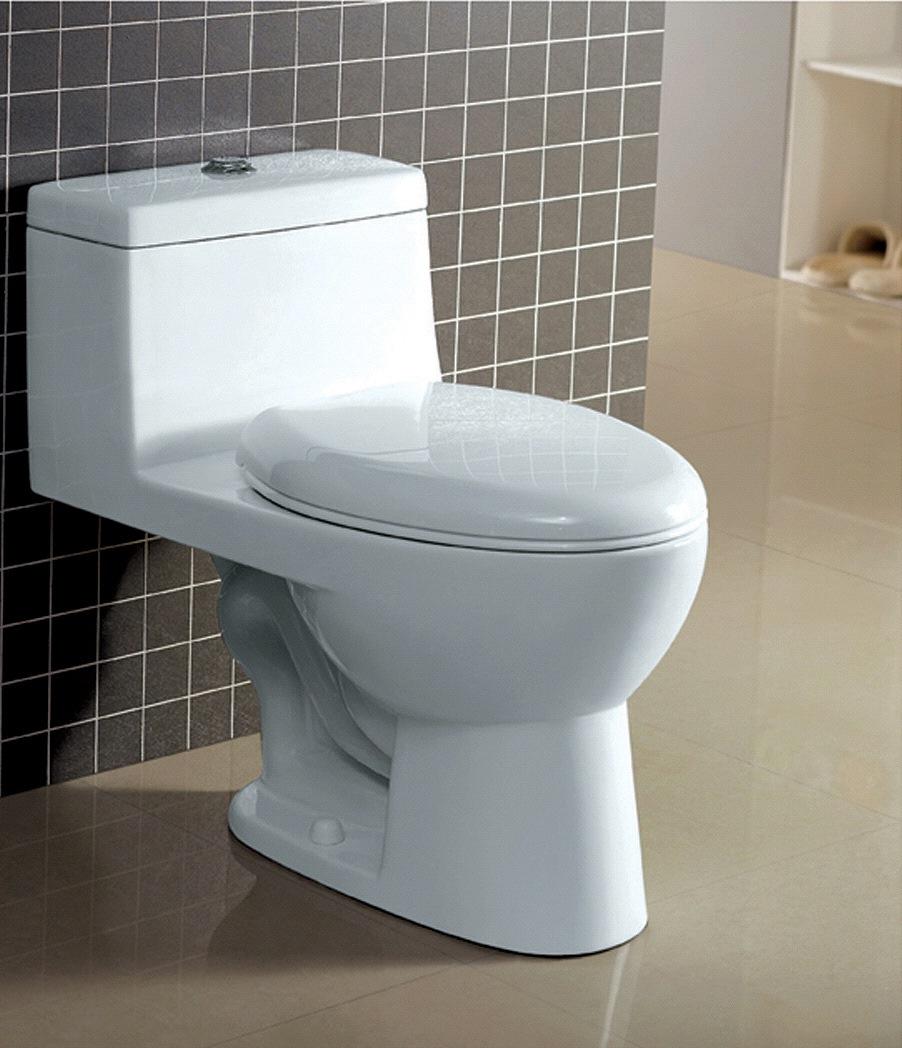 TOILETS RIO GRANDE Akuavit by Adornus Eco friendly dual flush design Jet Siphonic one piece toilet