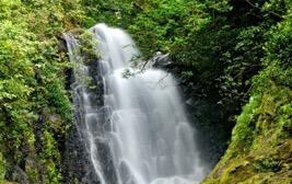 waterfalls you can find in all Costa Rica. Day 2: Waterfalls in the cloud forest tour.