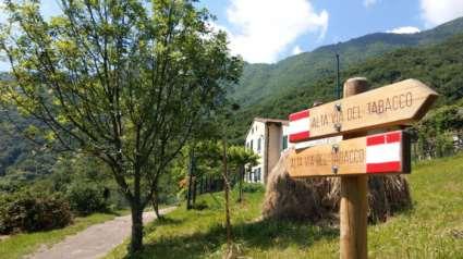 Day 6: Borgo Valsugana Bassano del Grappa Alta Via del Tabacco 13 km + 500 m 550 m Ascent to the Alta Via del Tabacco, a fabulous high altitude path situated above the Brenta valley.