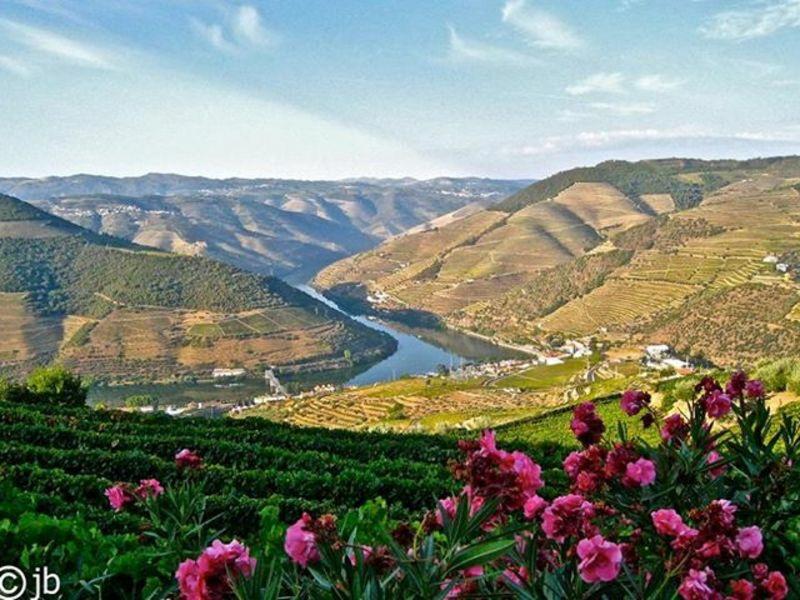 Page 11 of 14 From Douro Valley to Aveiro Check-out at Luxury Wine Hotel Quinta do Vallado Quinta do Vallado Wine Hotel Quinta do Vallado, Peso da Régua, Vila Real, PT,