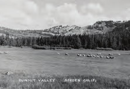 Society Middle: View of Donner Lake, California,